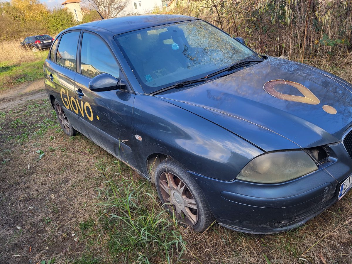 Miniatură 2