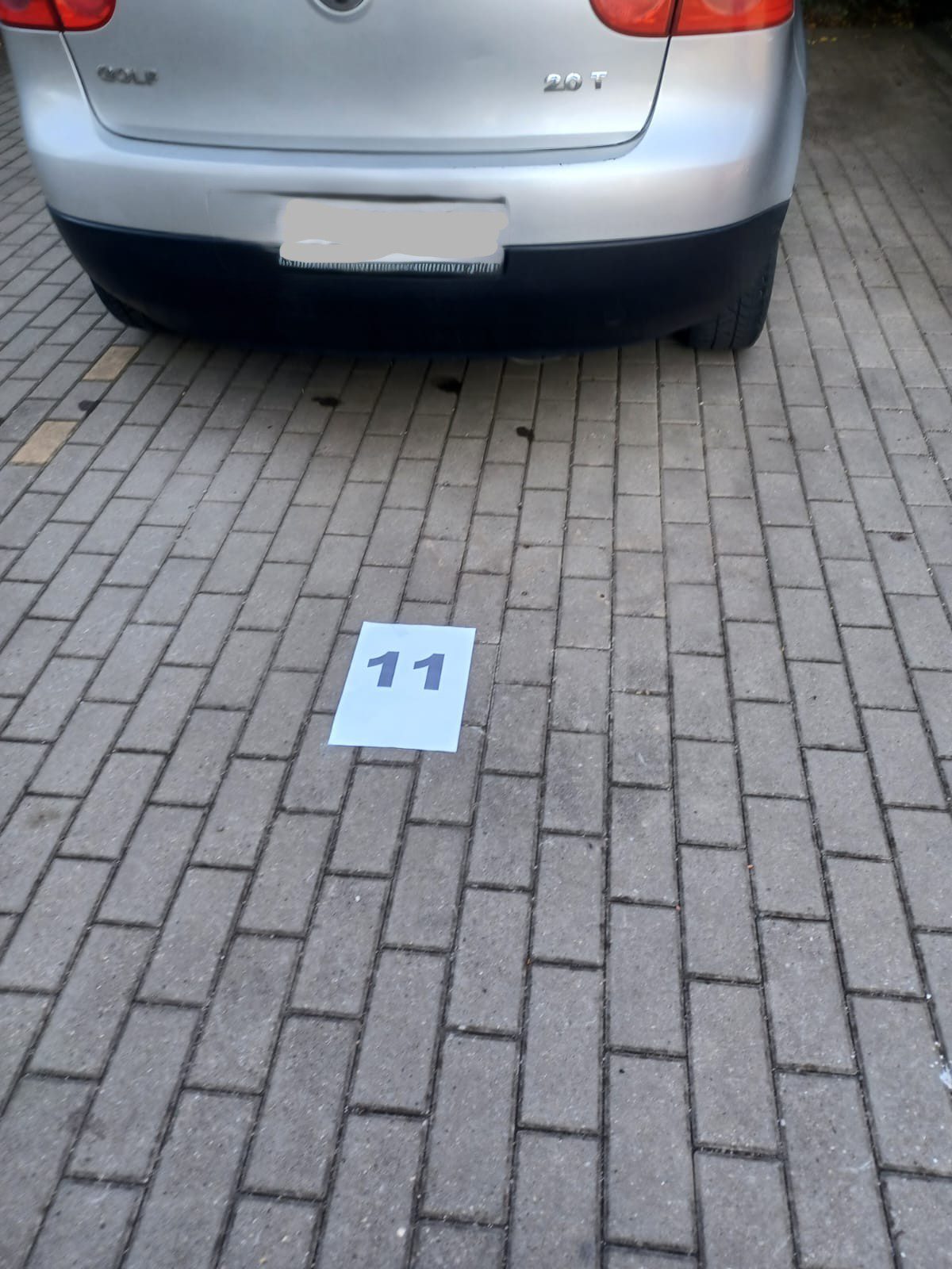 Miniatură 2