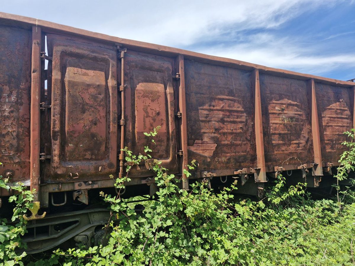 Miniatură 3