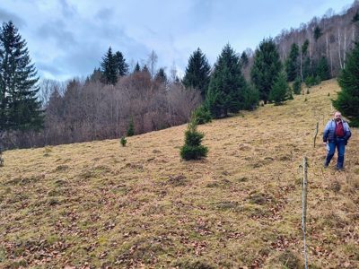 Pasune - in suprafata de 3500 MP