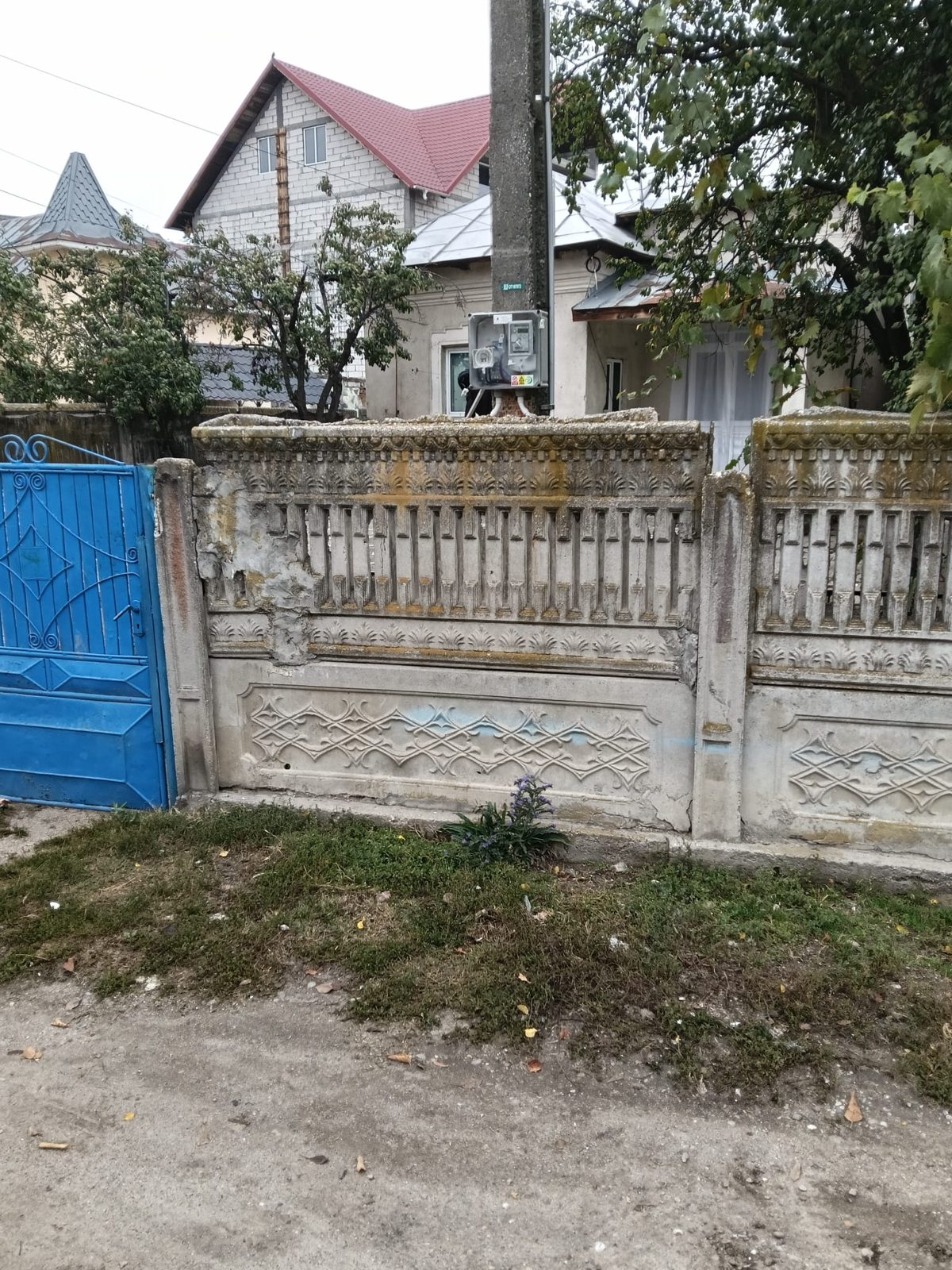 Miniatură 3
