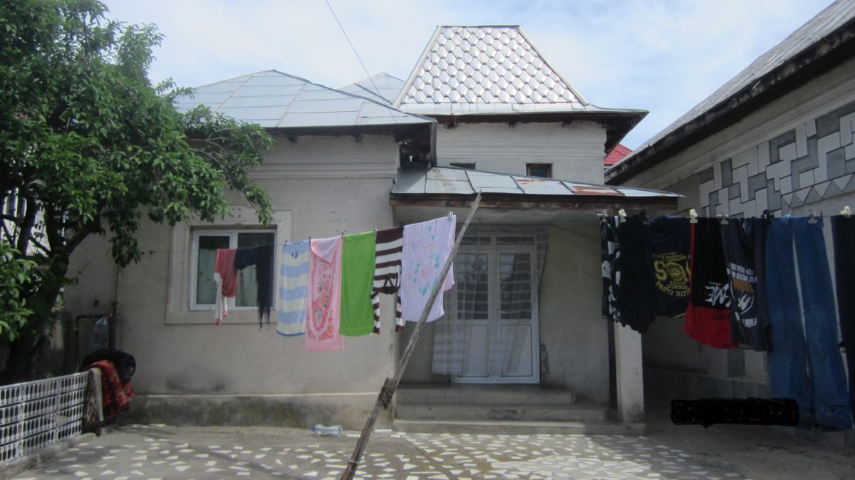 Miniatură 7