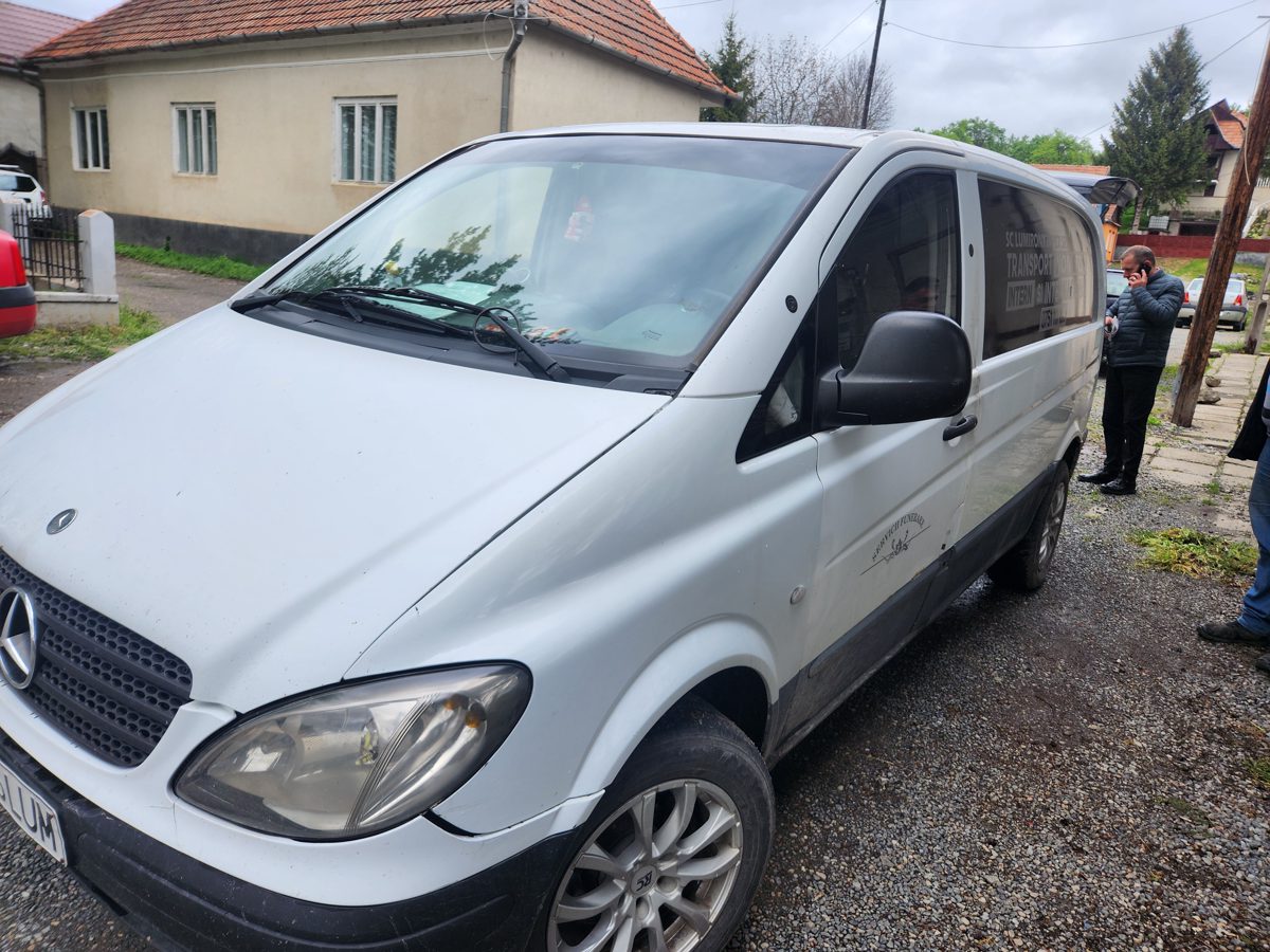 Miniatură 5