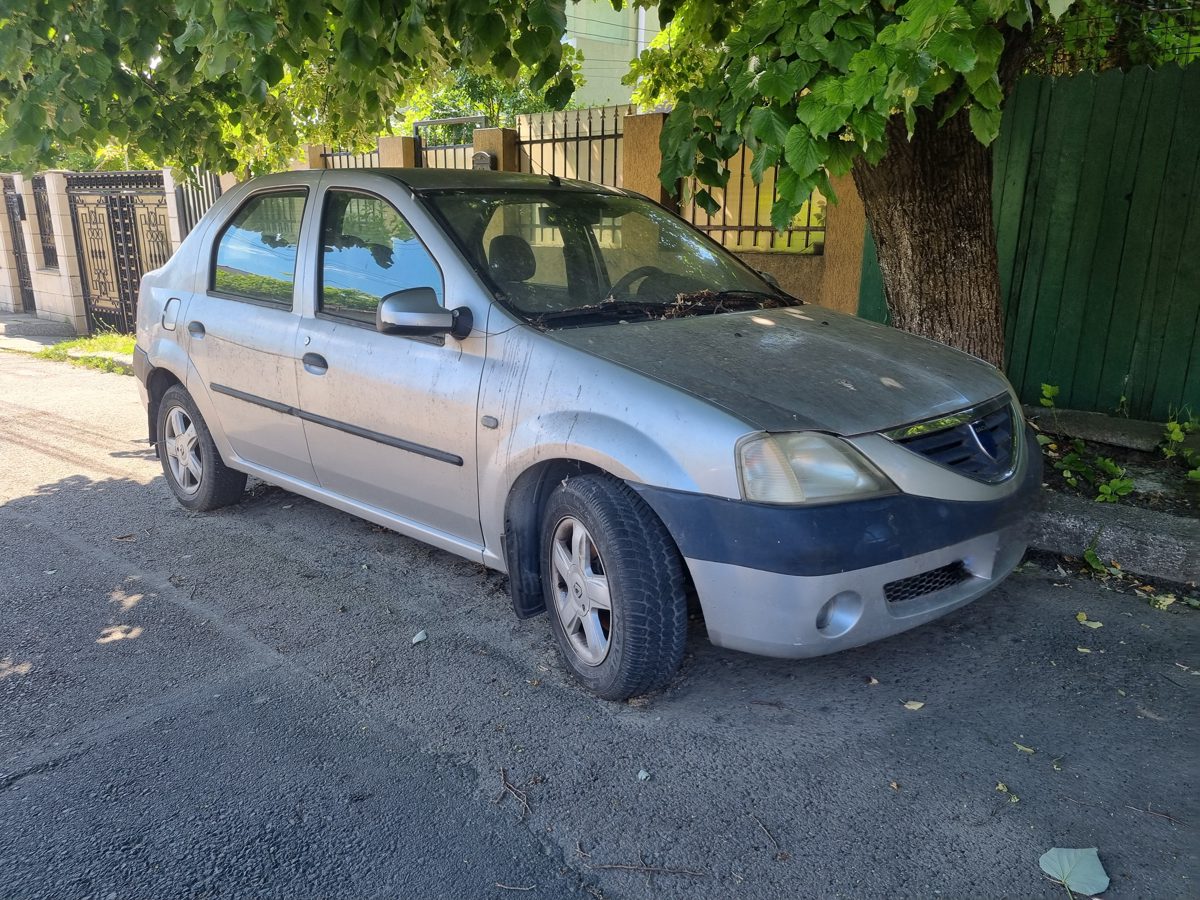 Miniatură 8