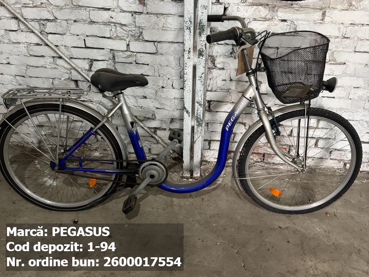 Bicicleta- Pegasus 1