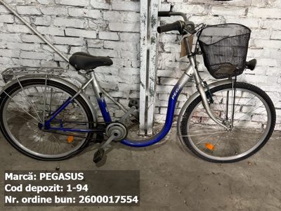 Bicicleta- Pegasus