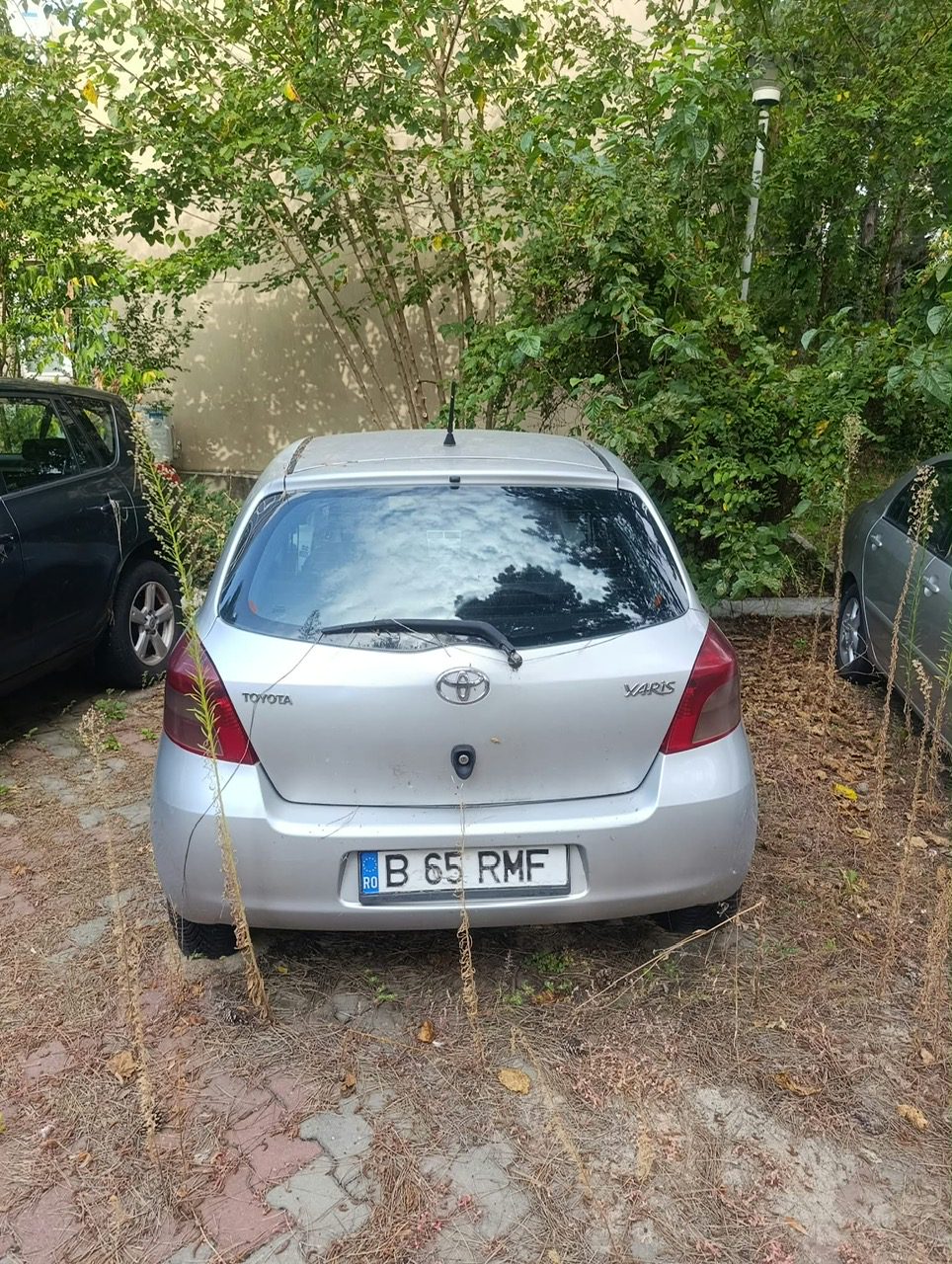Miniatură 6