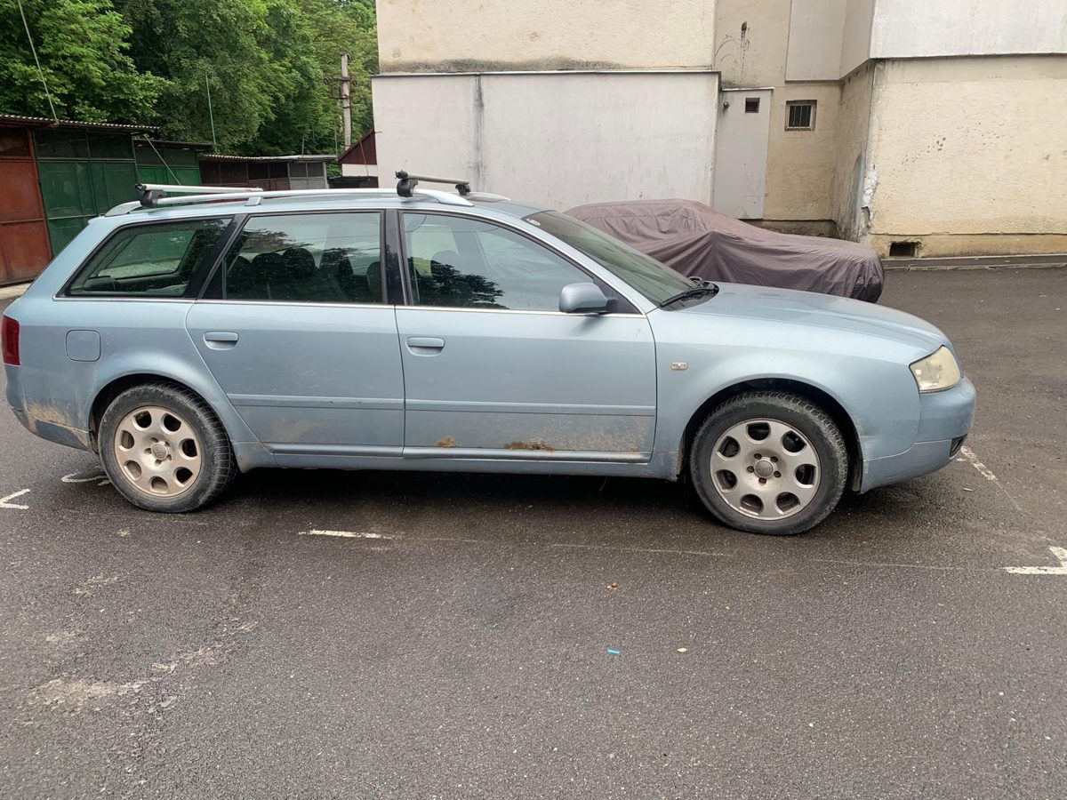 Miniatură 3