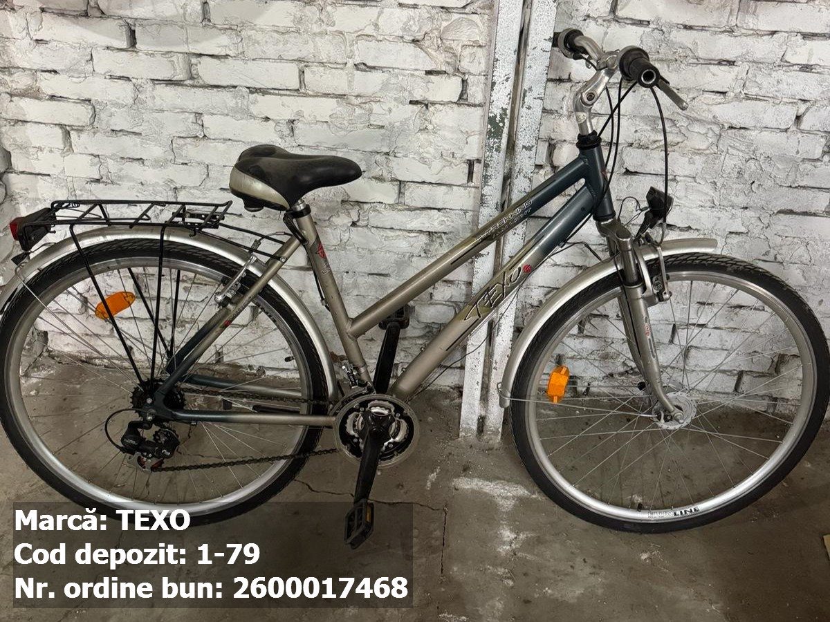 Bicicleta- Texo 1