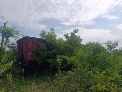 Vagon 315354937650 - Vagon marfa - EACS (1979)