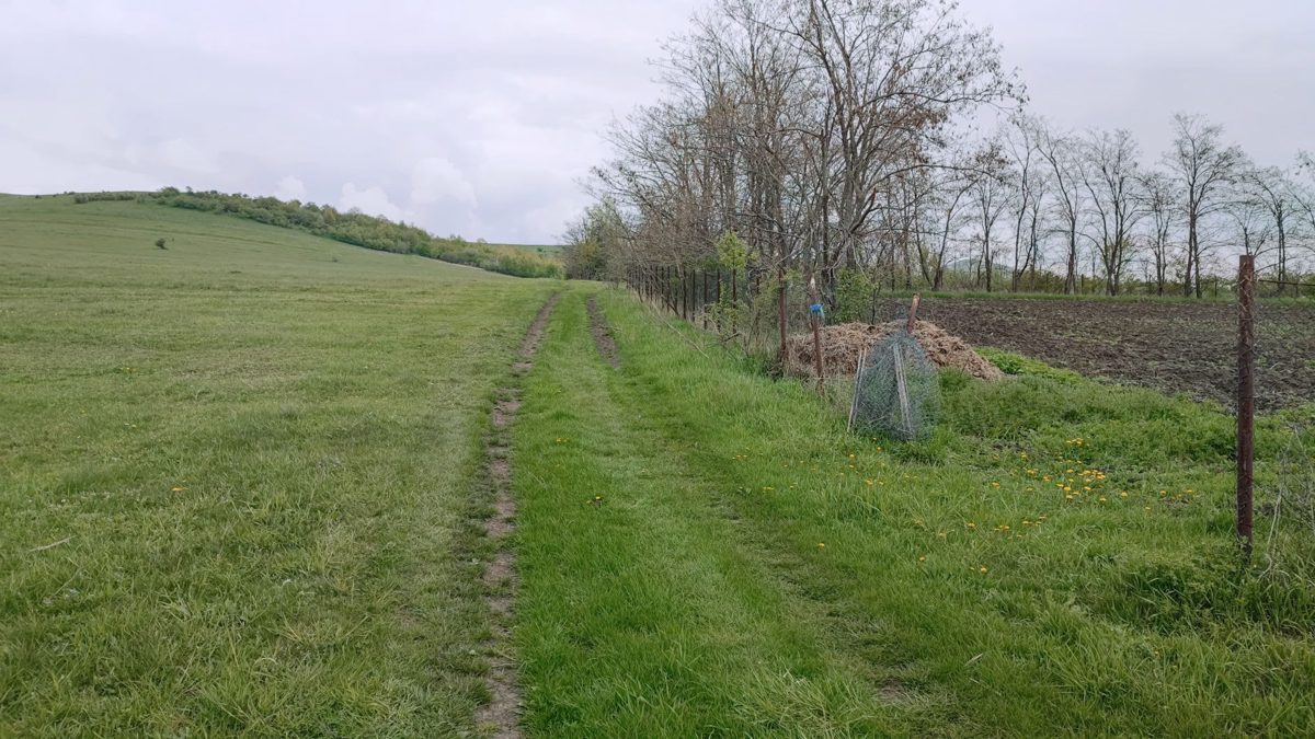 Teren agricol - Intravilan in suprafata de 3600 MP 1