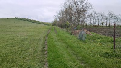 Teren agricol - Intravilan in suprafata de 3600 MP