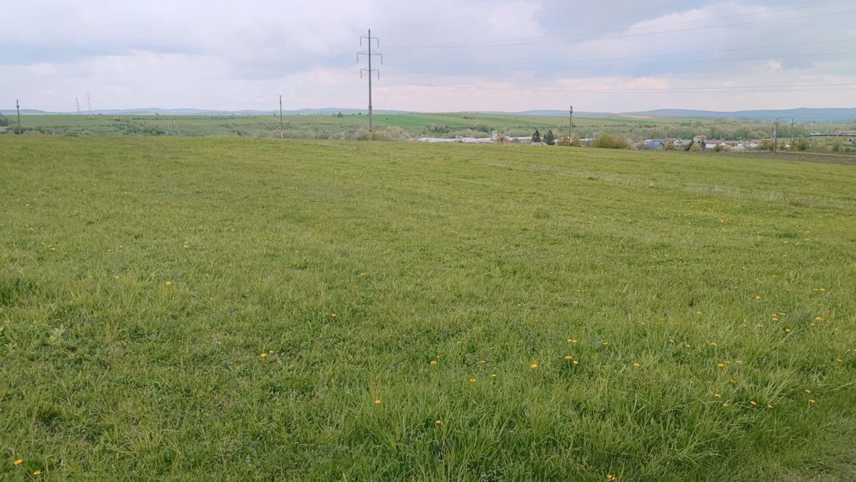 Miniatură 4
