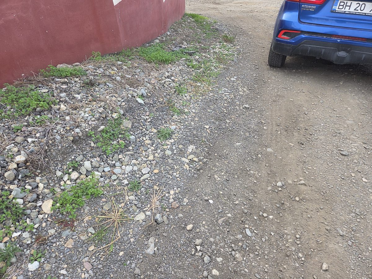 Miniatură 2