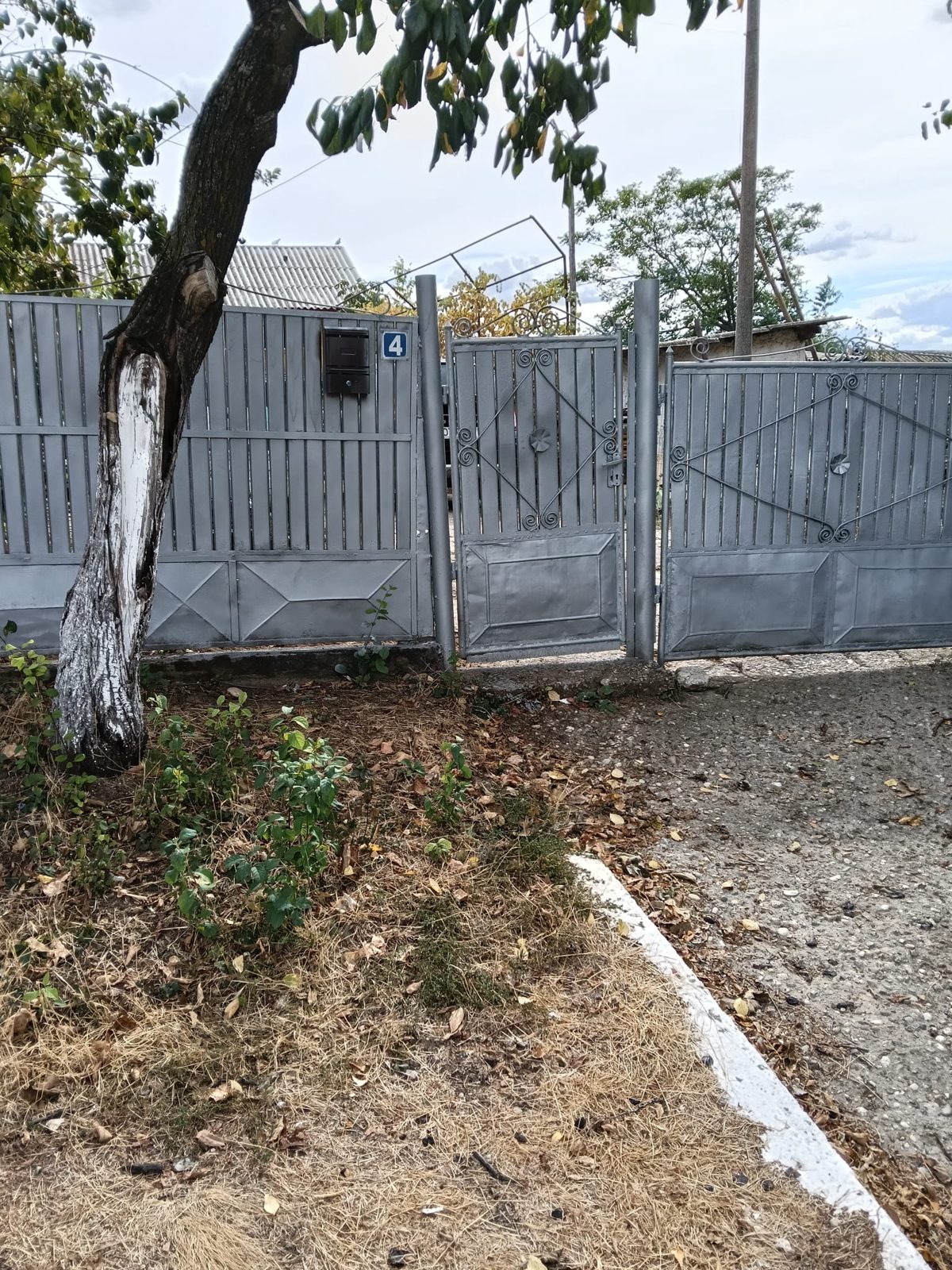 Miniatură 2