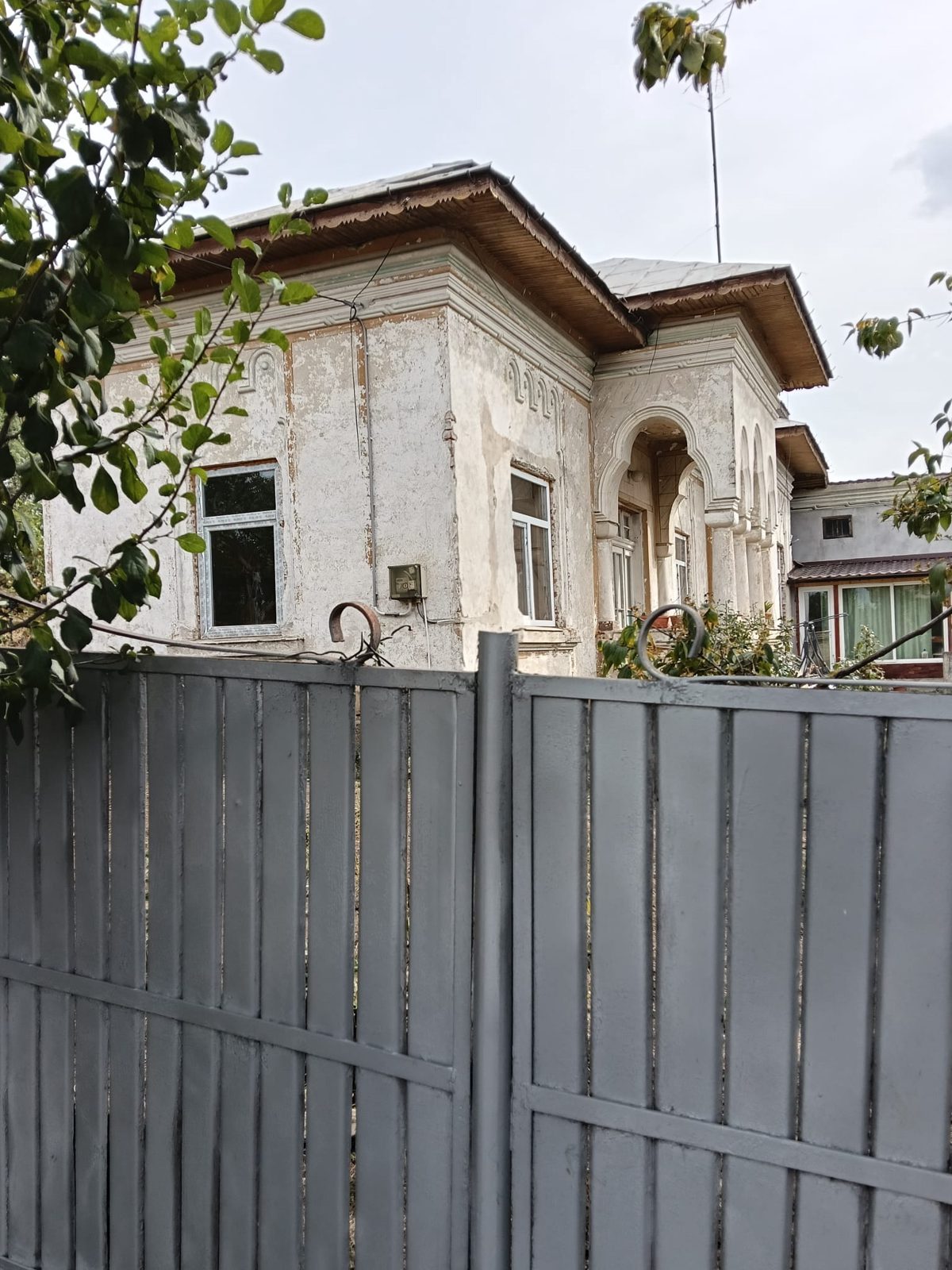 Miniatură 12