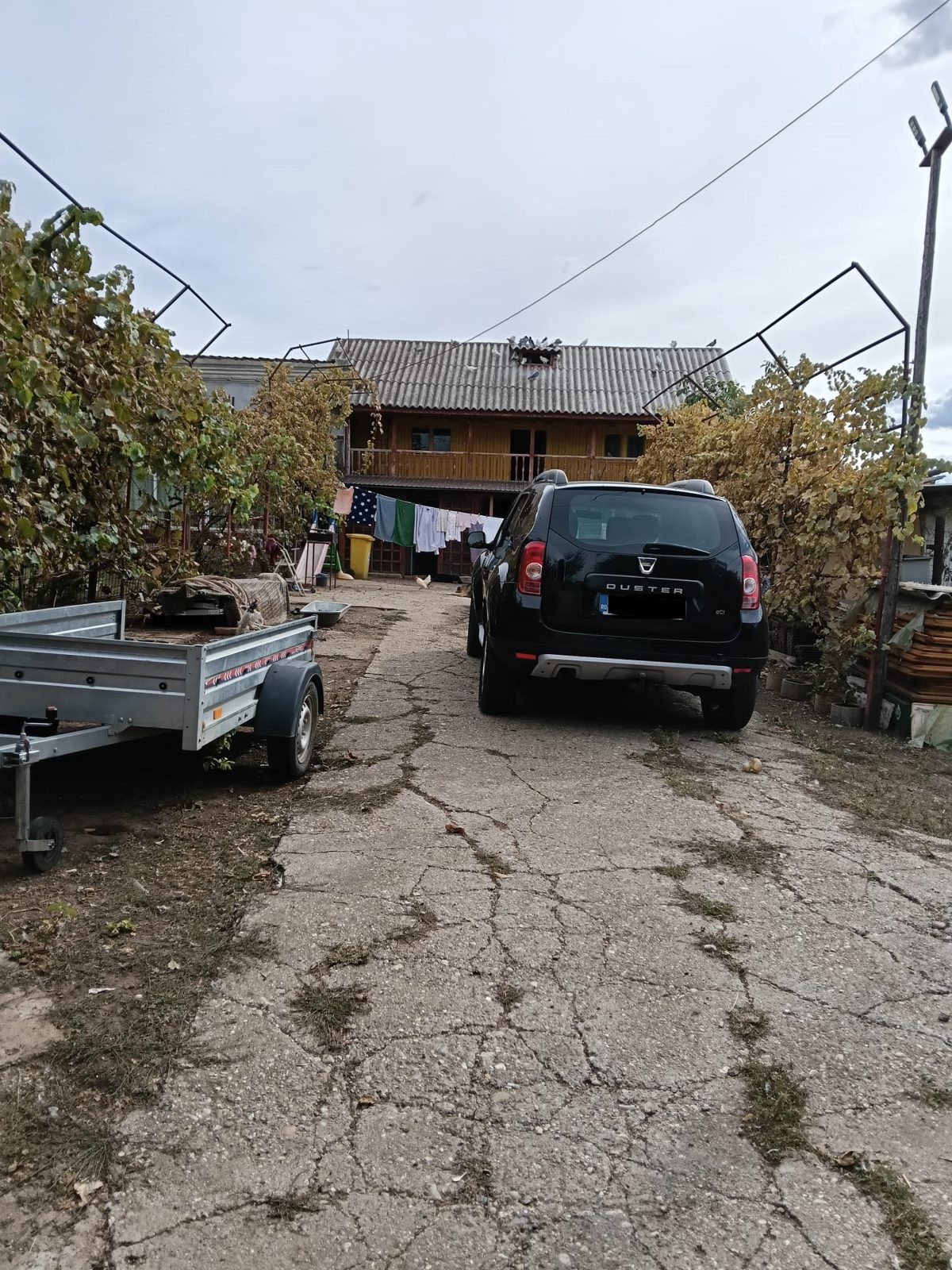 Miniatură 4