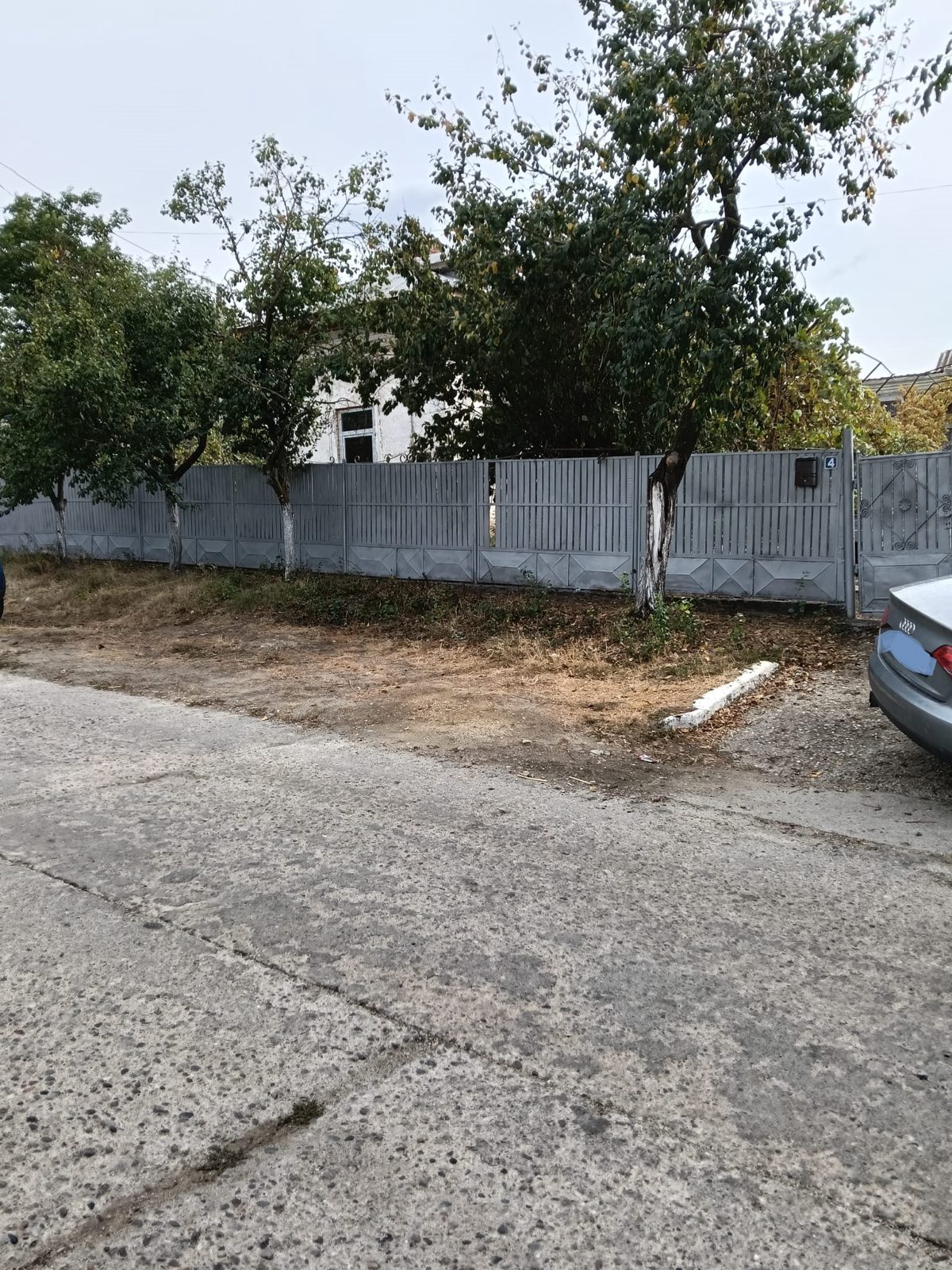 Miniatură 8