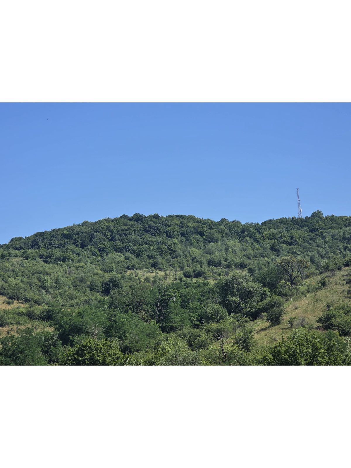 Miniatură 5