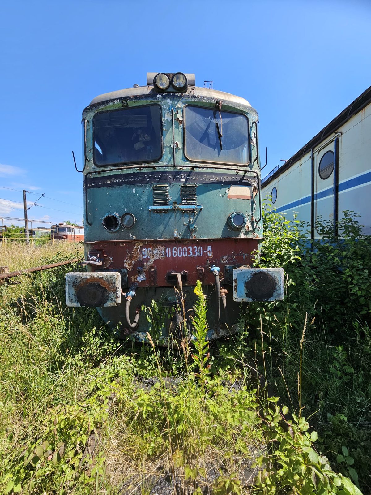 Miniatură 5