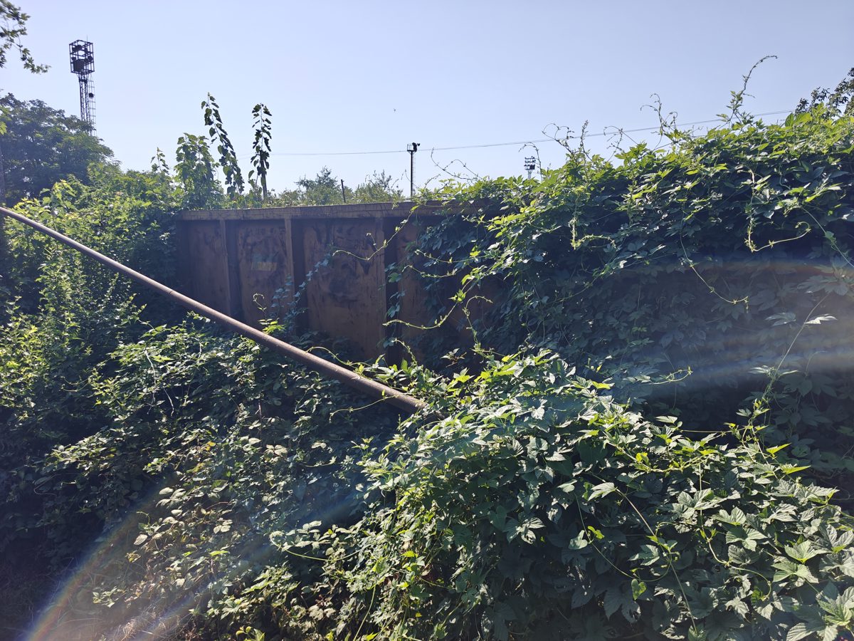 Miniatură 4