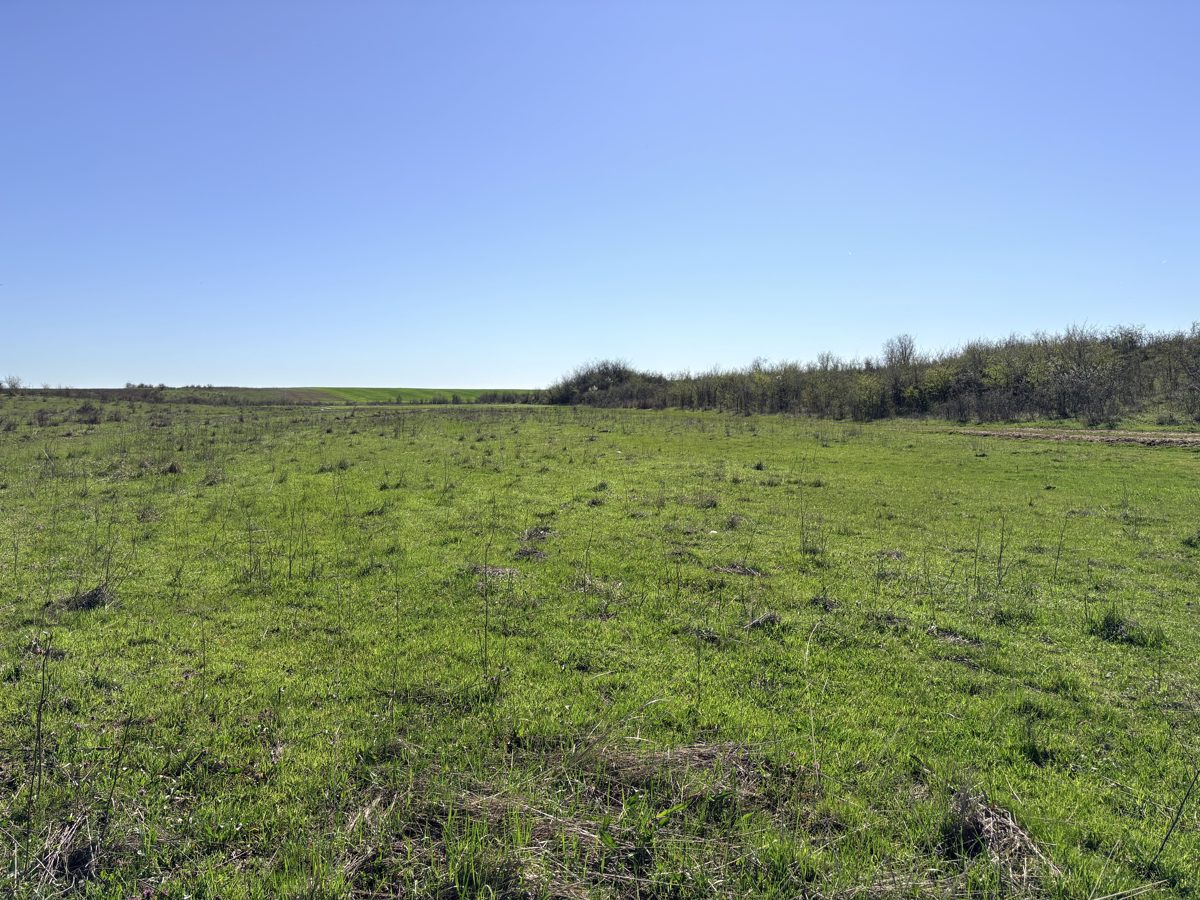 Teren agricol - EXTRAVILAN in suprafata de 14307 MP 1