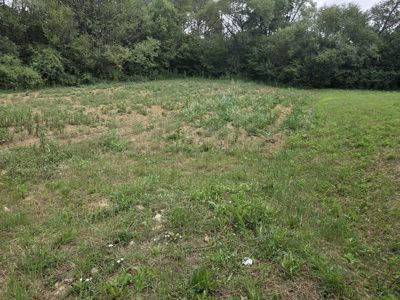 Teren agricol -