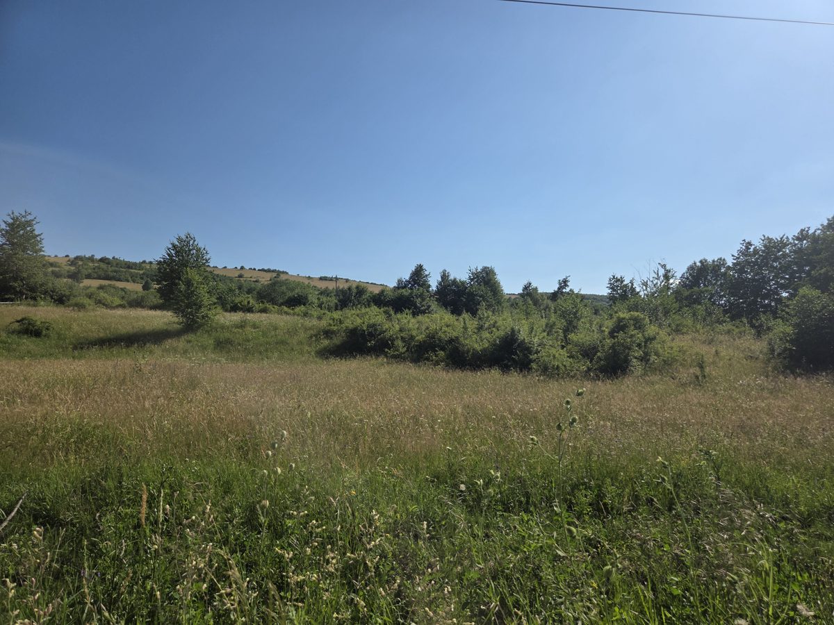 Miniatură 4