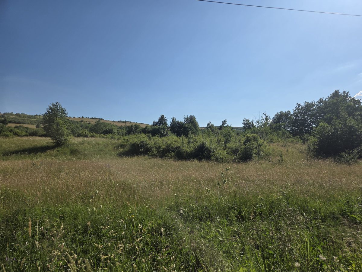 Miniatură 5