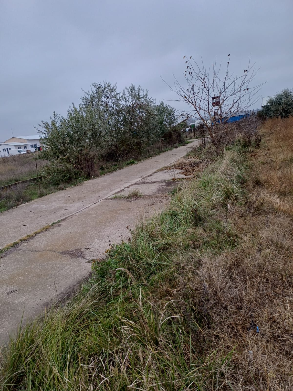 Teren construibil - in suprafata de 22947 MP 1