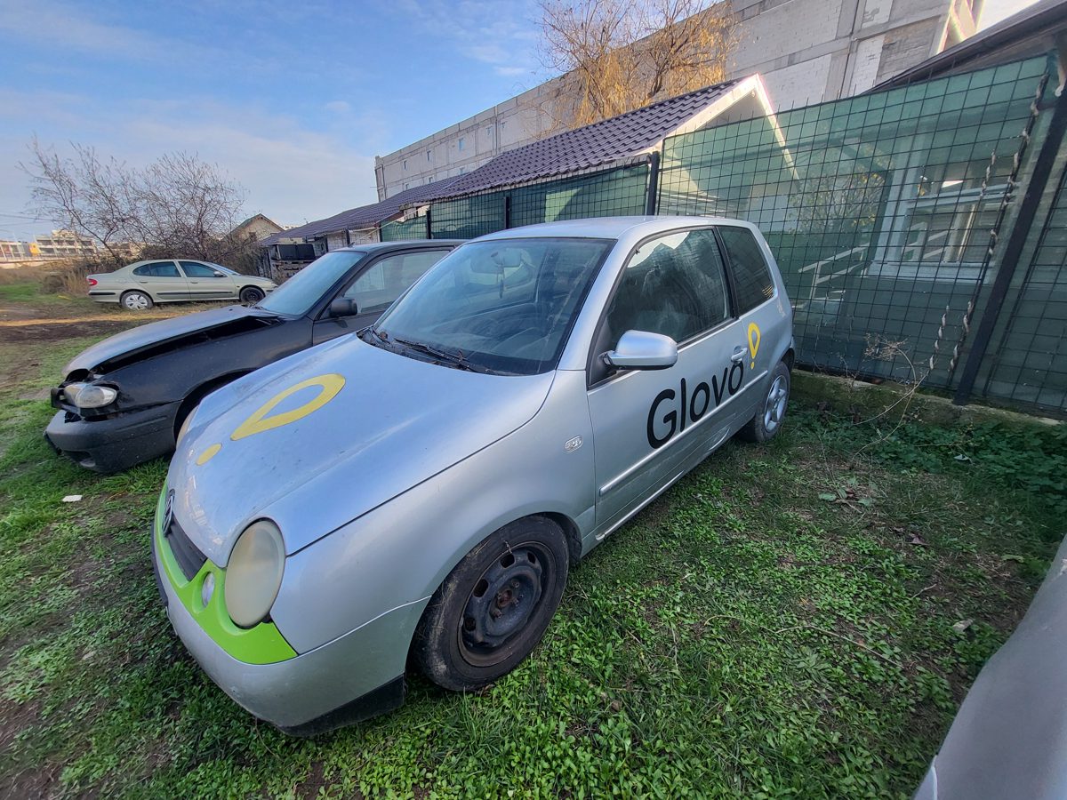 Miniatură 5