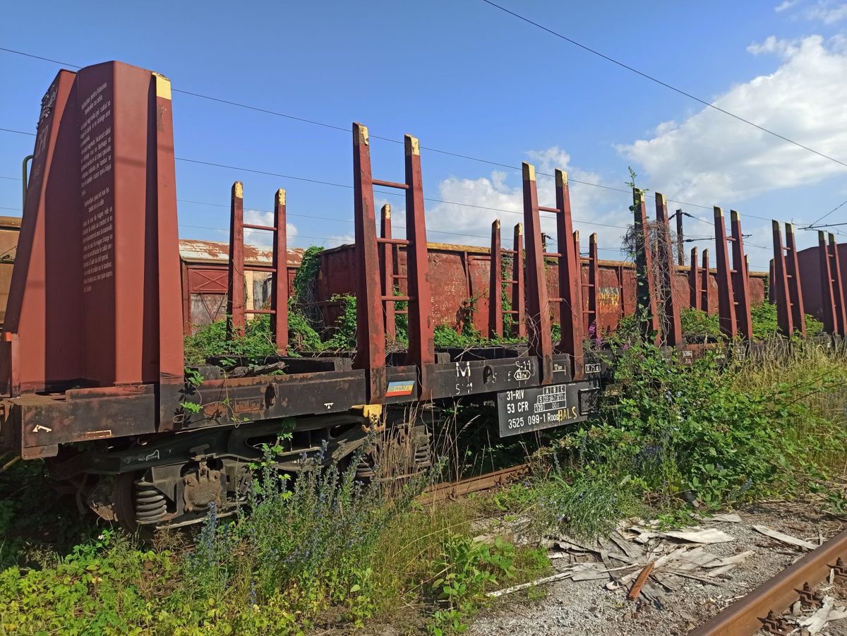 Miniatură 3