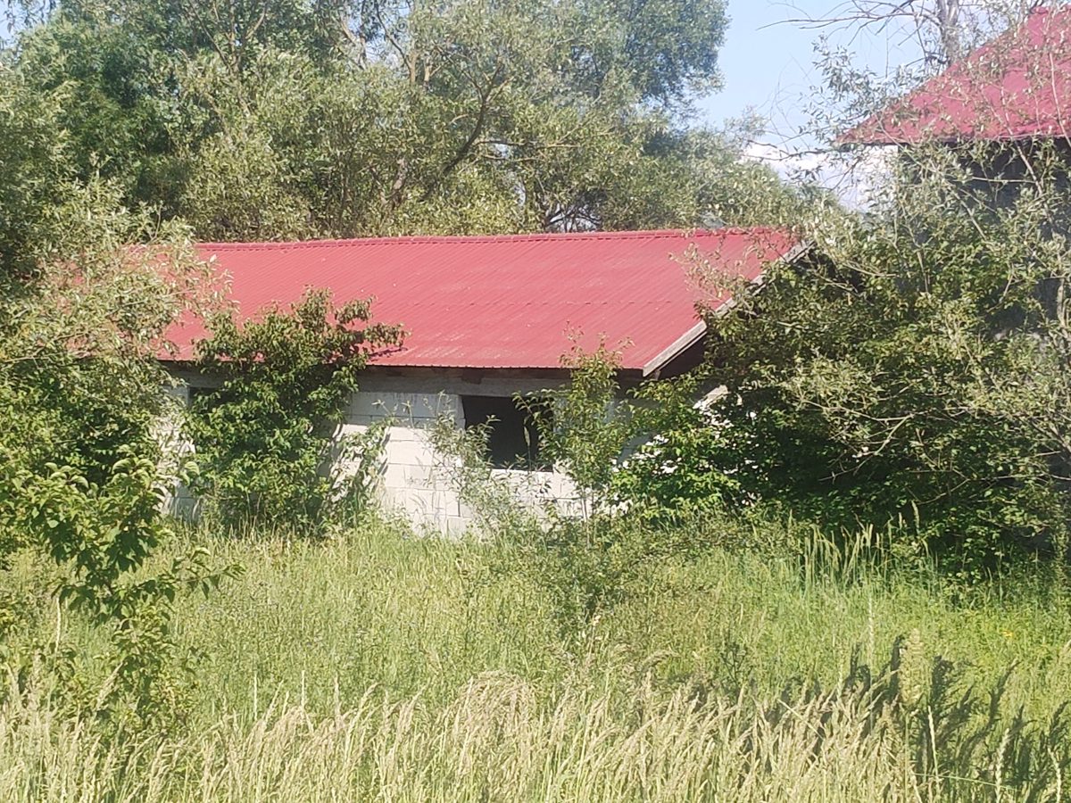 Miniatură 13