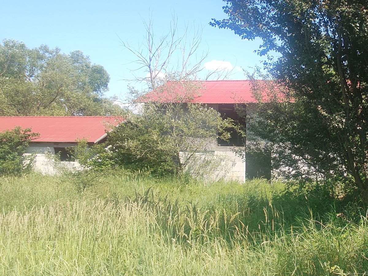 Miniatură 3