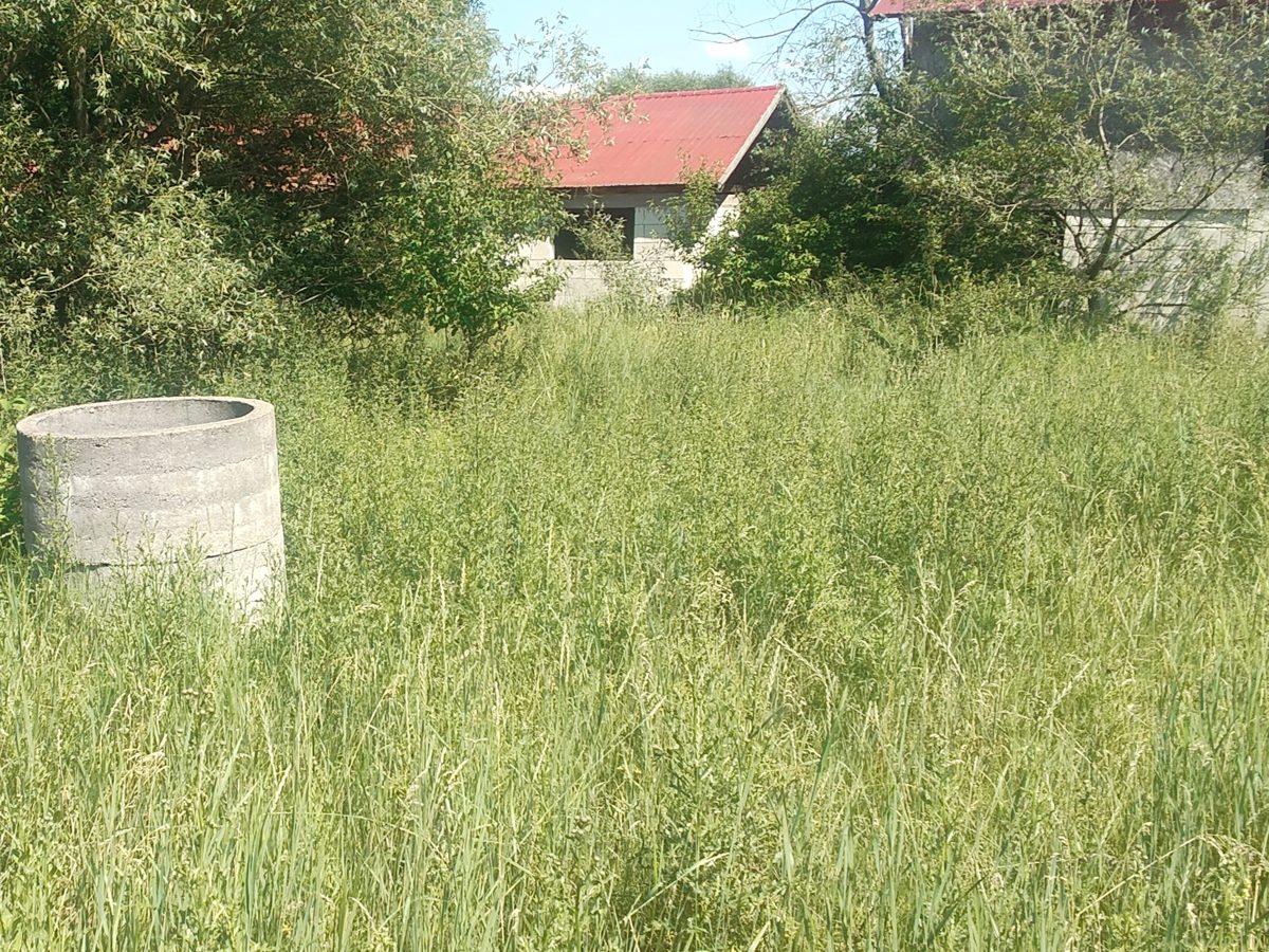Miniatură 5