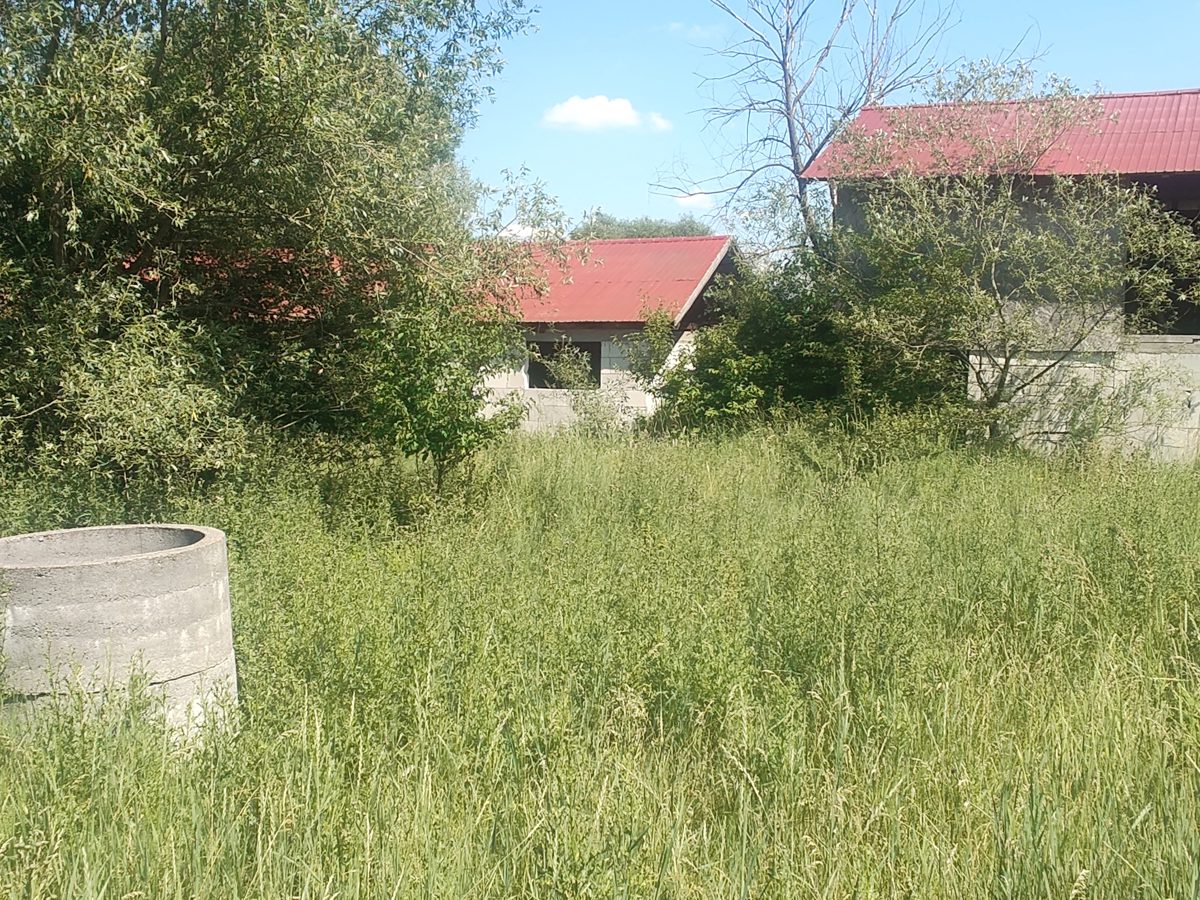 Miniatură 6