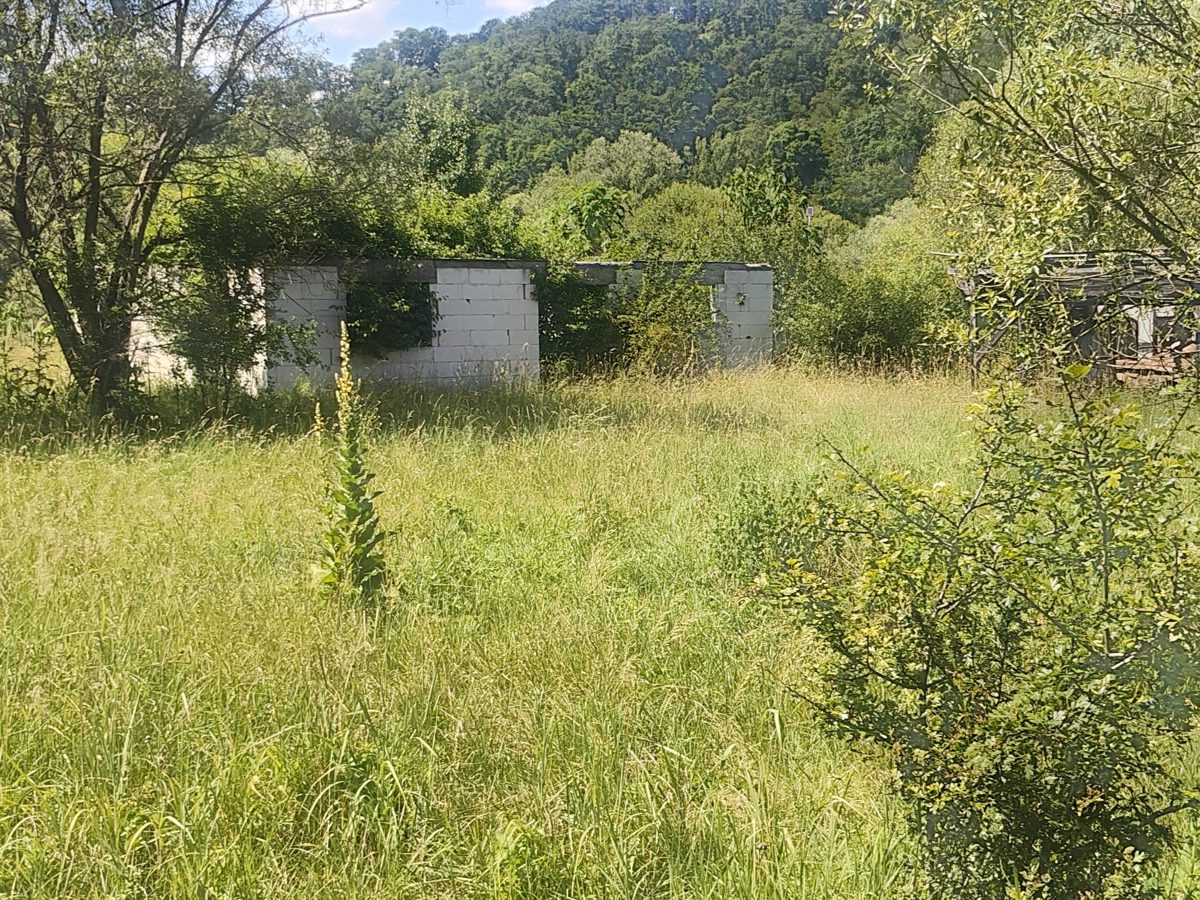 Miniatură 8