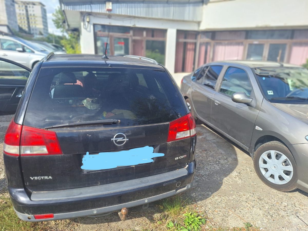Miniatură 2