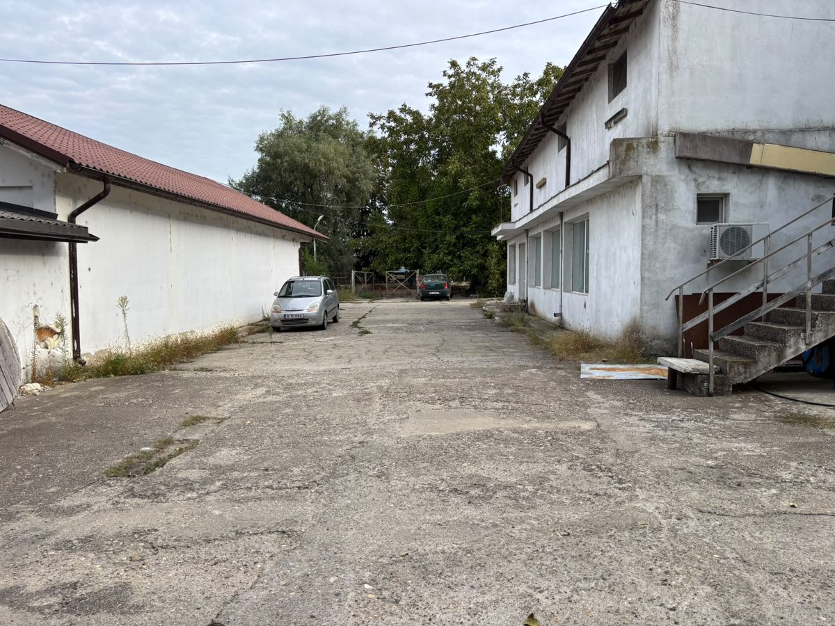 Miniatură 7