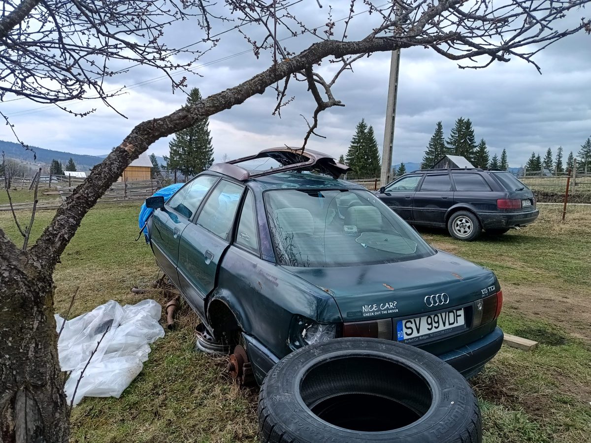 Miniatură 5