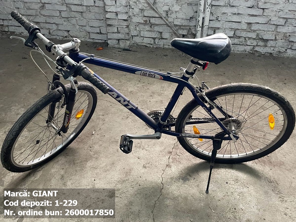 Bicicleta- Giant 1