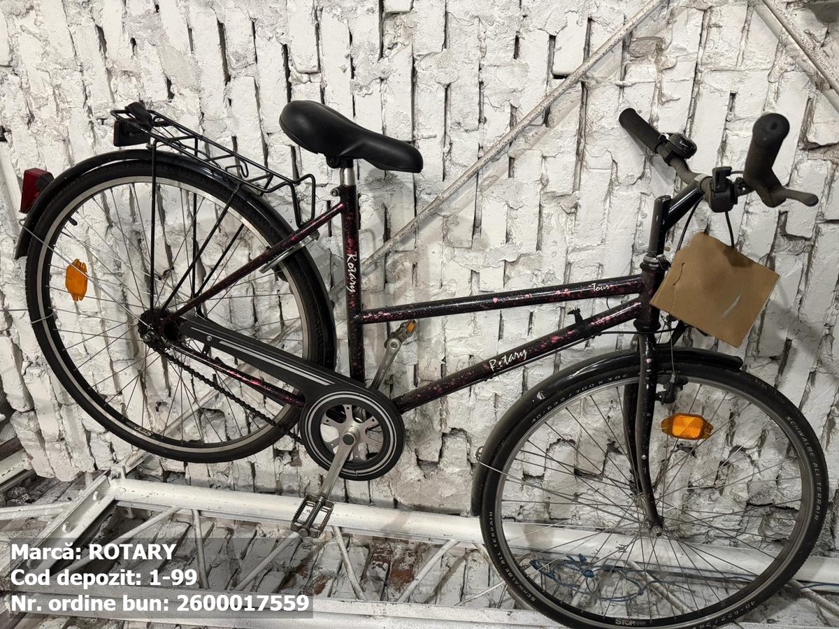 Bicicleta- Rotary 1