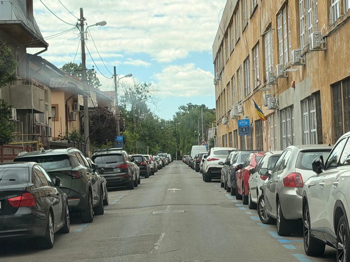 Miniatură 6