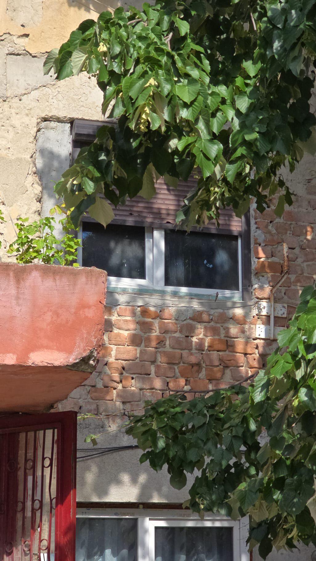 Miniatură 9