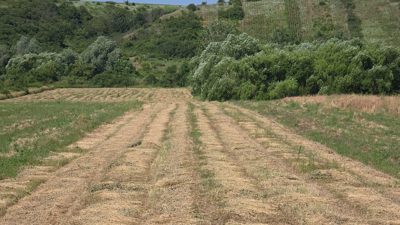 Teren agricol - in suprafata de 5257 MP