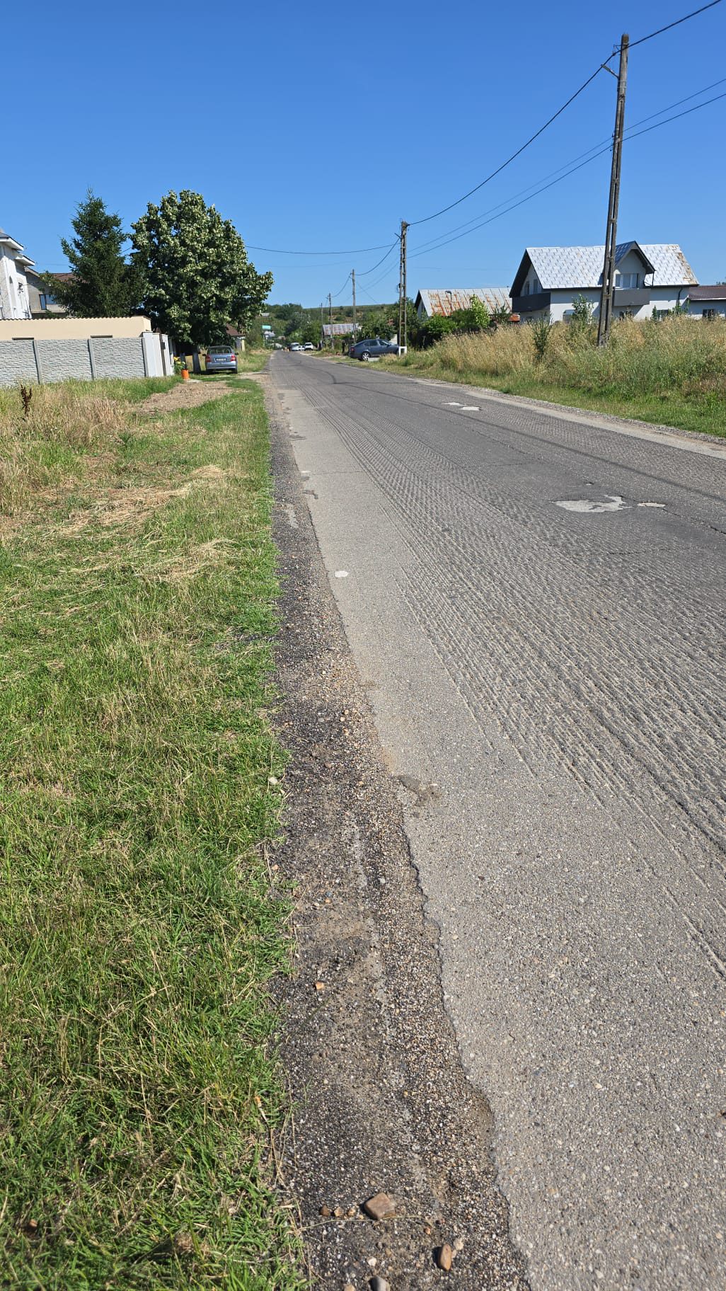 Miniatură 4