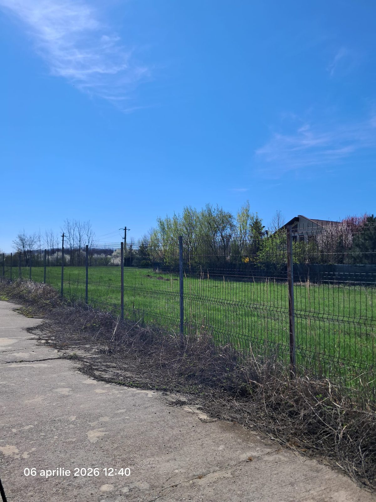 Miniatură 3