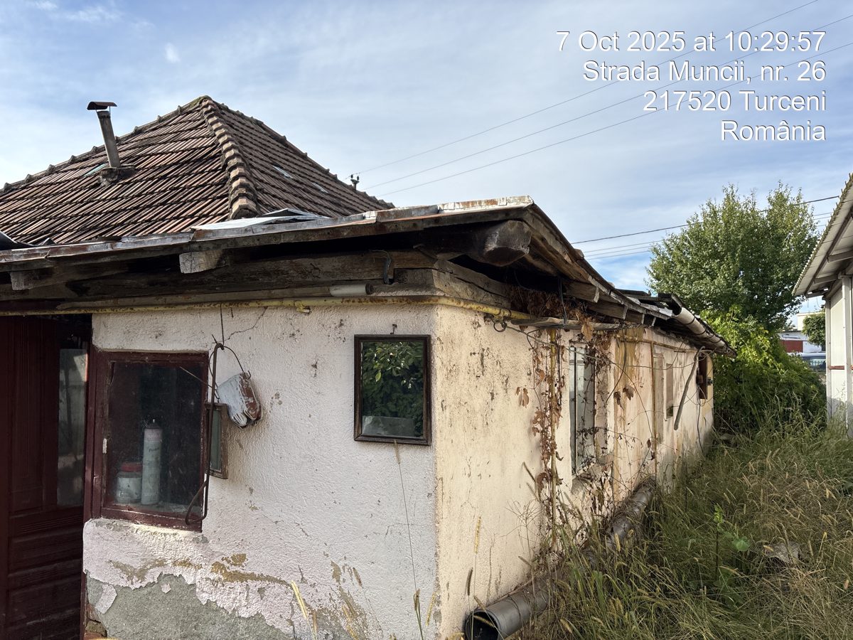 Miniatură 4