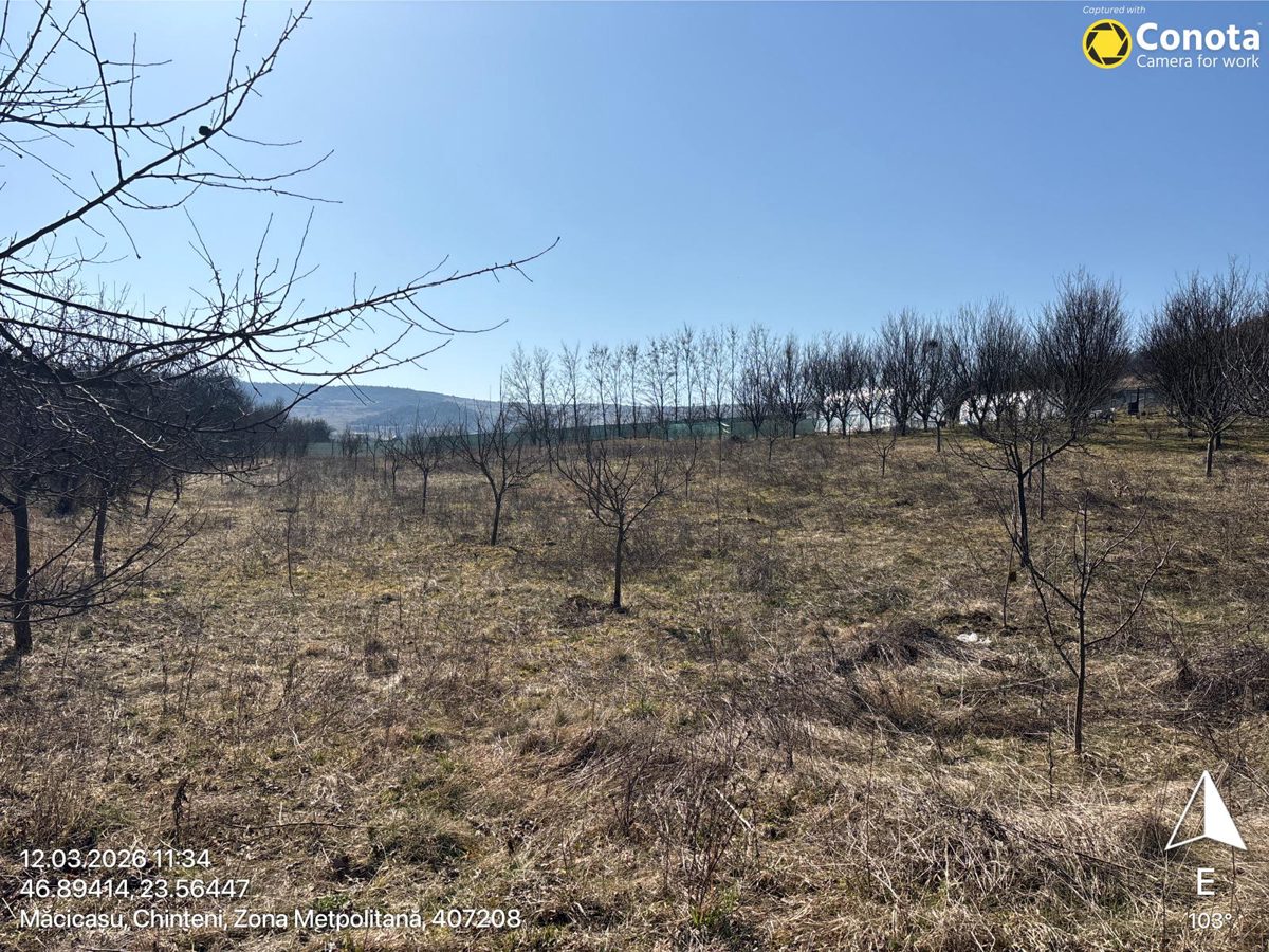 Teren intravilan arabil, cota 1/2 din suprafata de 2903 mp, situat in loc.Macicasu, jud. Cluj 1