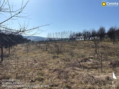 Teren intravilan arabil, cota 1/2 din suprafata de 2903 mp, situat in loc.Macicasu, jud. Cluj